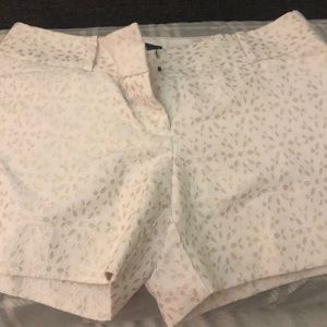 The limited dressy shorts